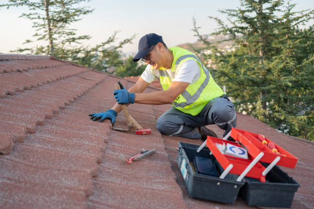 Best Local Roofing Companies  in Russellton, PA